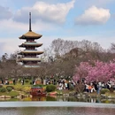 武汉旅游 缩略图 6
