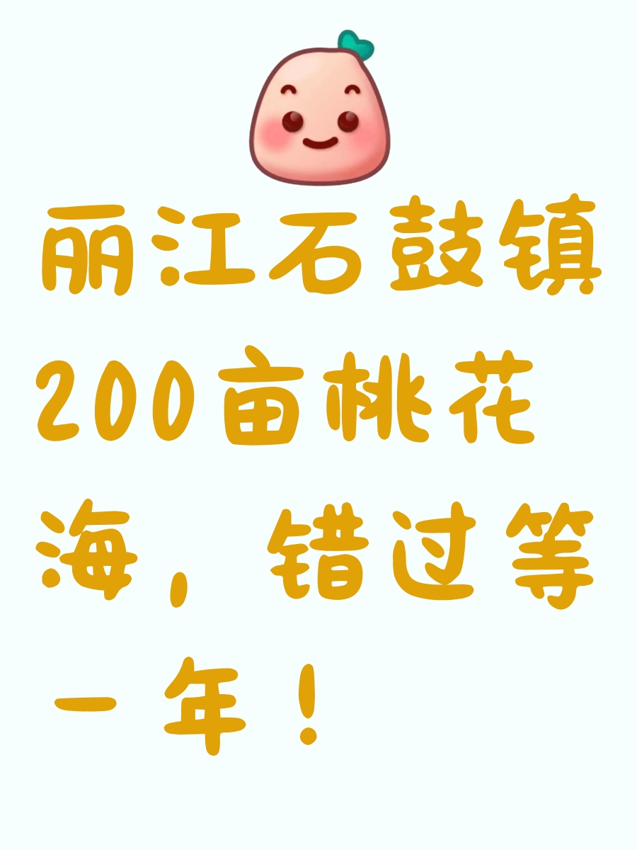 丽江旅游