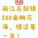 丽江旅游 缩略图 1