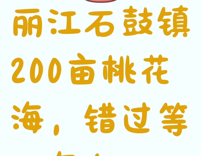 丽江旅游 1