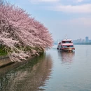 武汉旅游 缩略图 2