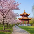 武汉旅游 缩略图 8