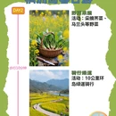 杭州旅游 缩略图 2