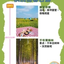 杭州旅游 缩略图 3
