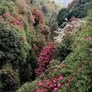 遵义旅游 缩略图 12