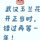 武汉旅游 缩略图 1