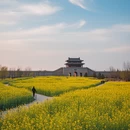 杭州旅游 缩略图 4