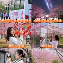 长沙旅游 缩略图 1