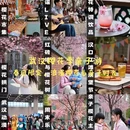 武汉旅游 缩略图 1