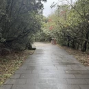 安顺旅游 缩略图 5
