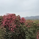 毕节旅游 缩略图 7