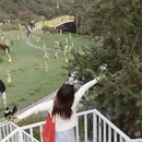 毕节旅游 缩略图 6