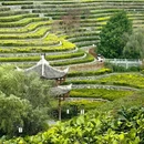 毕节旅游 缩略图 11