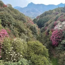 遵义旅游 缩略图 5