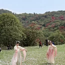 遵义旅游 缩略图 5