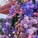 遵义旅游 缩略图 6