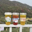 遵义旅游 缩略图 9