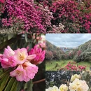 毕节旅游 缩略图 12