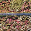 贵阳旅游 缩略图 10