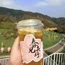遵义旅游 缩略图 7