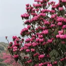 遵义旅游 缩略图 9
