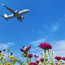 成都旅游 缩略图 3