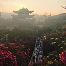 遵义旅游 缩略图 1