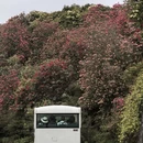 遵义旅游 缩略图 3