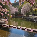 北京旅游 缩略图 5