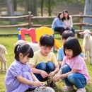 重庆旅游 缩略图 4