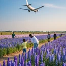 成都旅游 缩略图 8