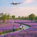 成都旅游 缩略图 7