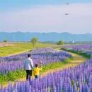 成都旅游 缩略图 6