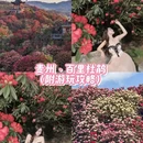遵义旅游 缩略图 1