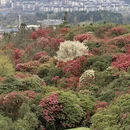 毕节旅游 缩略图 2