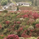 毕节旅游 缩略图 1