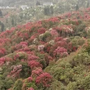 毕节旅游 缩略图 4