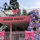 遵义旅游 缩略图 9