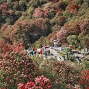 毕节旅游 缩略图 1