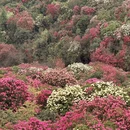 毕节旅游 缩略图 11