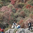 毕节旅游 缩略图 2