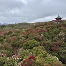 毕节旅游 缩略图 10