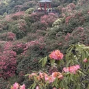 遵义旅游 缩略图 8