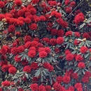 毕节旅游 缩略图 13