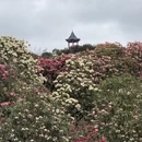 遵义旅游 缩略图 11