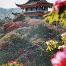 毕节旅游 缩略图 3