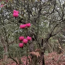 毕节旅游 缩略图 15