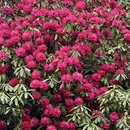 毕节旅游 缩略图 14