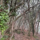 毕节旅游 缩略图 16