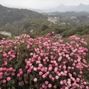 遵义旅游 缩略图 3
